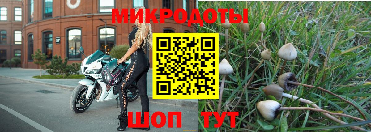 цена наркотик  Псилоцибиновые грибы Psilocybine cubensis  Псилоцибиновые грибы мухоморы  Вход с VPN  Сызрань 