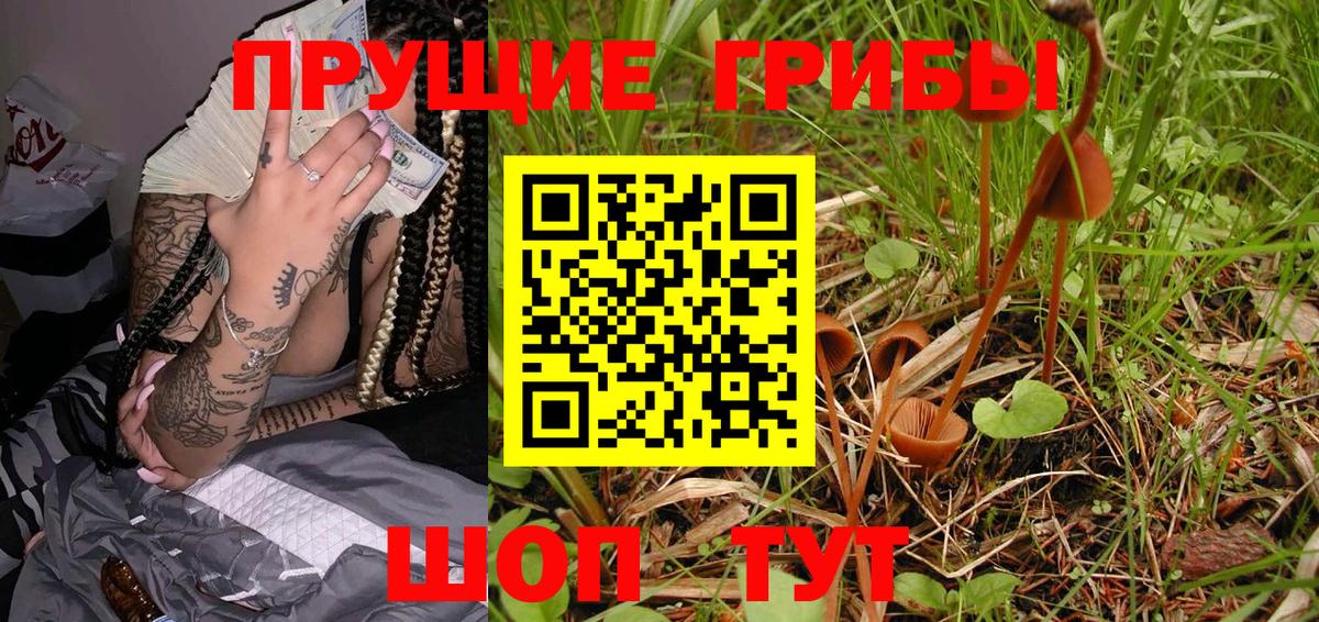 Галлюциногенные грибы GOLDEN TEACHER Сызрань